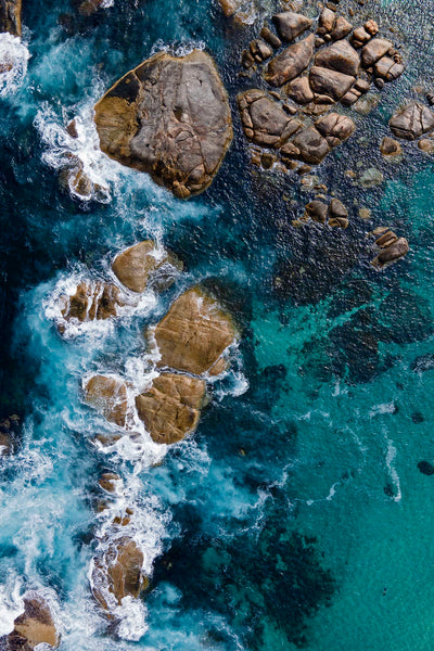 Snorkelers